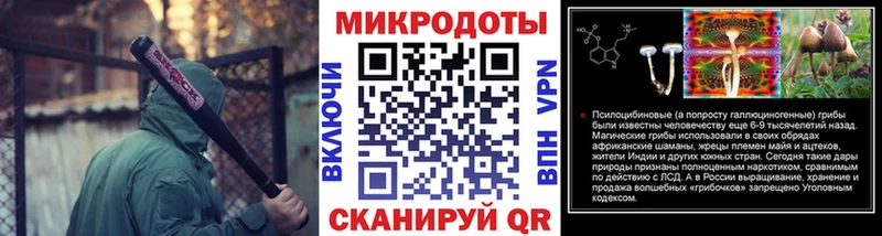 Галлюциногенные грибы Psilocybine cubensis Миньяр
